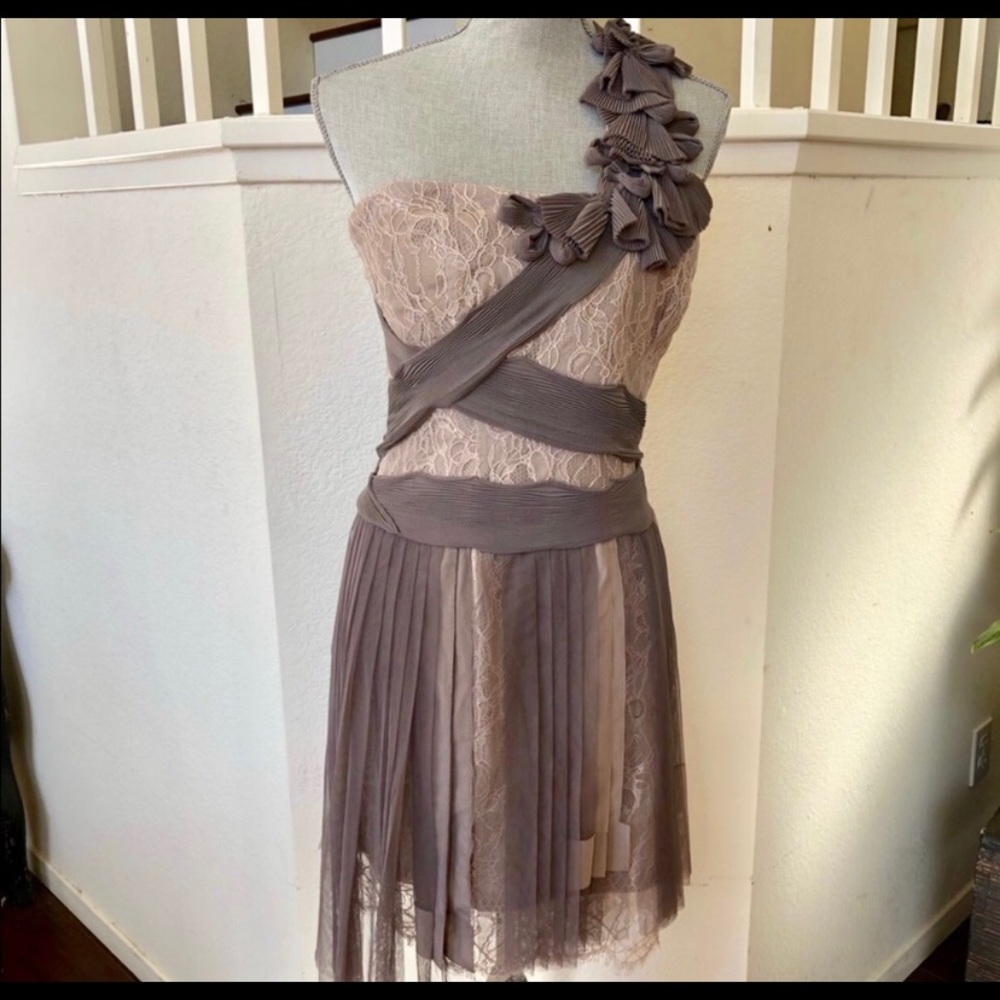 BCBG MaxAzria Bare Pink Runway Laced Dress Size 10